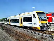 Rhenus Veniro (VEN) 5 Stück