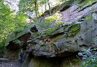 Naturdenkmal Riesenstein