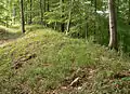 Wall der Amelungsburg, rechts abfallender Steilhang