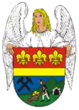 Wappen von Andělská Hora
