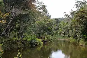 Blick in den Nationalpark