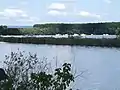 mittlerer Bereich des Schilfgürtels
