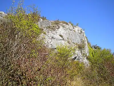 Steilwand in der Angoulême-Formation (Angoumien) bei Font-Grand