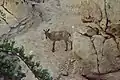 Arabischer Tahr