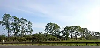 Wall der Anklamer Landewehr