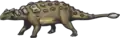 Ankylosaurus