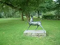 Das Pferd, 1954