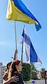 Die Staatsflagge der Ukraine und die russische Protestflagge