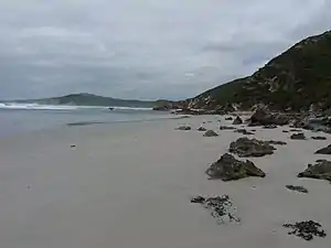 Sicht auf Anvil Beach nach Westen, 2018
