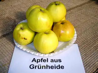 Äpfel aus Grünheide