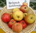 Sortenkorb mit Berlepsch Goldrenetten