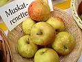 Sortenkorb mit Muskatrenetten