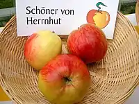 Sortenkorb mit Herrnhuter Äpfeln