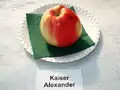Apfelsortenschau der Baumschule Späth
