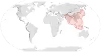 Verbreitungsgebiet von Apis cerana