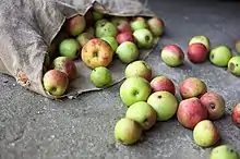 Bio-Äpfel