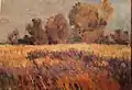 Goldene Wiese