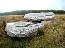 Dolmen Arca da Piosa