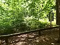 Station 10: Bronzezeitlicher Grabhügel Lage: 53° 26′ 38,5″ N, 9° 51′ 33,4″ O53.4440179.859267