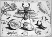 Tafel 6