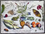 Tafel 6