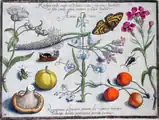 Tafel 7