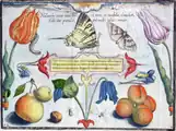 Tafel 12