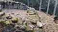 Burgruine Aris ob Kien