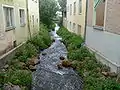 Linker Arm der Fichtenohe in Pegnitz