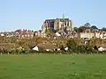 Blick auf Arundel mit Kathedrale