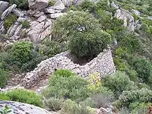 Der Tempel von Malchittu
