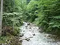 Der Arzbach
