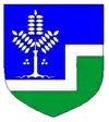 Wappen von Aseri