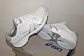 Asics-Sportschuhe