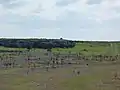 Blick über Asunden