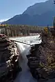Die Athabasca Falls