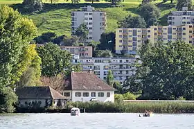 Au ZH