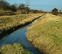 Die Mündung des Ziegelbachs in den Winkelbach