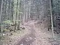 Beginn des Aufstieges zum Geierstein am Schlossweiher