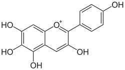 Struktur von Aurantinidin Chlorid
