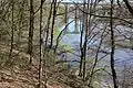 Uferwald am Auray