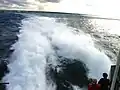 Die Heckwelle bei circa 70 km/h
