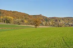 Blick auf Bürglischloss aus Dörflingen