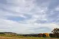 Blick von Gennersbrunn Richtung Dörflingen