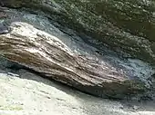 Gefaltete migmatische Schiefergneis-Schichten (Gneis-Klippe auf der Böllsteiner Höhe)
