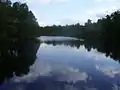 Teich bei der Neumühle
