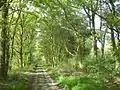 Auenlandschaft im Naturschutzgebiet
