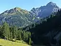 Bärenkopf und Großer Widderstein von etwas oberhalb von Baad