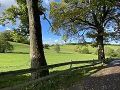 Alte Bäume säumen den Wanderweg durch den Ort