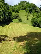 Böhlgrund